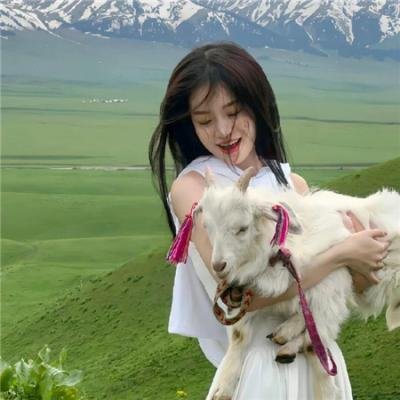 使用下方 20 个影片名，按顺序一一对应，不要改动片名文字，只根据片名和括号内类型提示来虚构全新的故事内容： 海豚之日 夺魂异阵图 安家2020 荆棘的天堂 剧院魅影 暗杀游戏 绝命空间 18:黑色的18岁 家宅凶灵 叔比狗:蓝猎鹰面具 蝙蝠侠：血脉恩仇 晚礼服 育婴奇谭 修士的欲念 拯救地球！ 不赦之罪 环法心节奏 青春之杀人者 干吧！我的彩虹人生 天生杀人狂